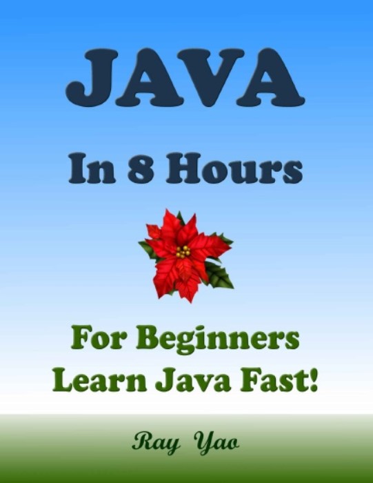 learn java programming in hindi pdf